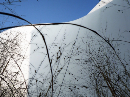 Stralsund Ozeaneum (2011) 2.jpg