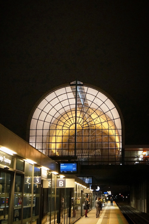 Odense Station (2014).jpg