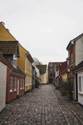 Odense Gamle Bydel (2014) 1.jpg