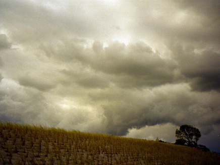 Ahrenshoop 01 (2004).jpg