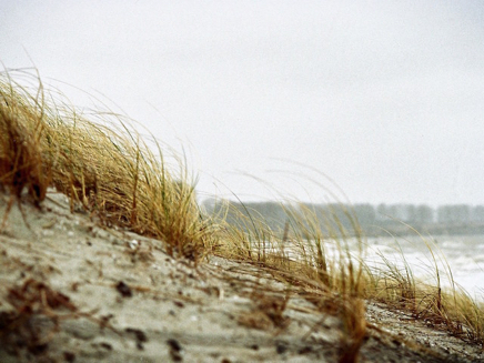 Rerik Strand (2007) 1.jpg