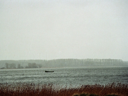 Rerik Salzhaff (2007).JPG