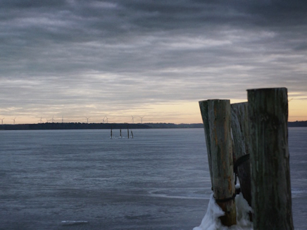 Rerik Salzhaff (2016) 1.jpg