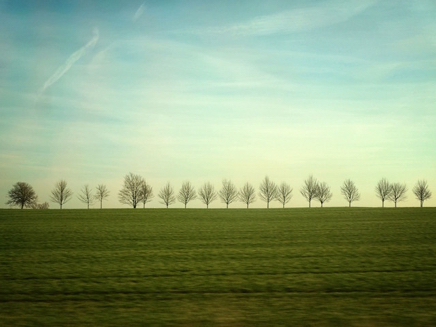 Dorf Mecklenburg (2015).jpg