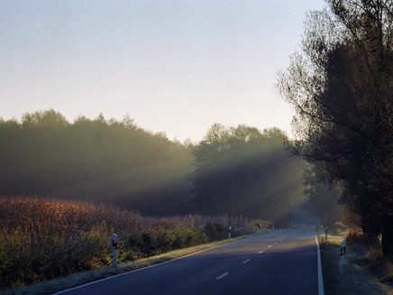 Alt Farpen (2011).jpg