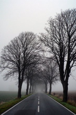 Spriehusen (2010) 1.jpg