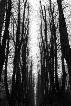 Rostock Lindenpark (2012) 1.jpg