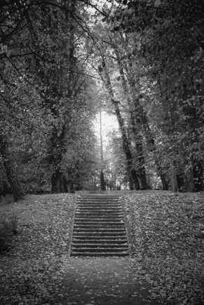 Schwerin Schlossgarten (2013) 2.jpg