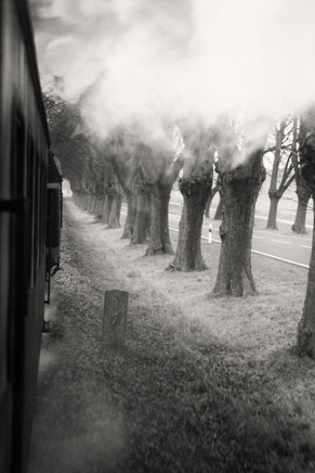 Bäderbahn Molli (2005) 2.jpg