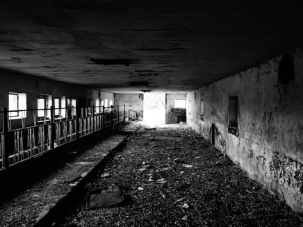 Lenzerwische (2016) 4.JPG