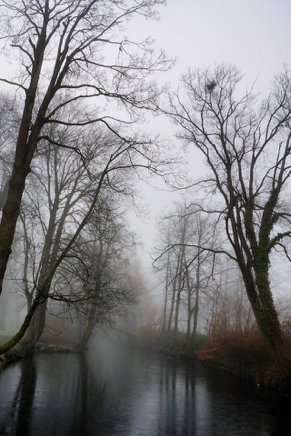 Wismar Lindengarten 02 (2016).jpg