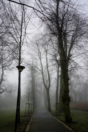 Wismar Lindengarten 01 (2016).jpg